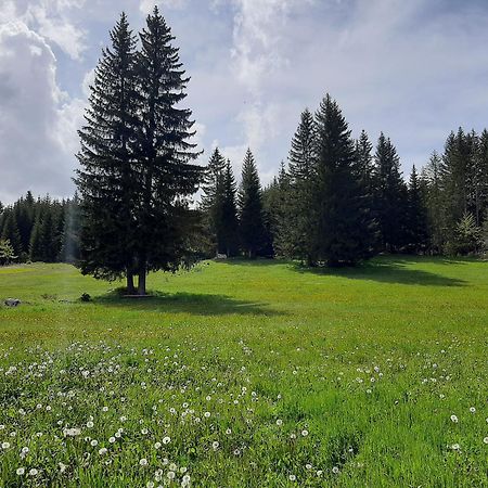 Wooden Cottage Podgora Zabljak  Ngoại thất bức ảnh