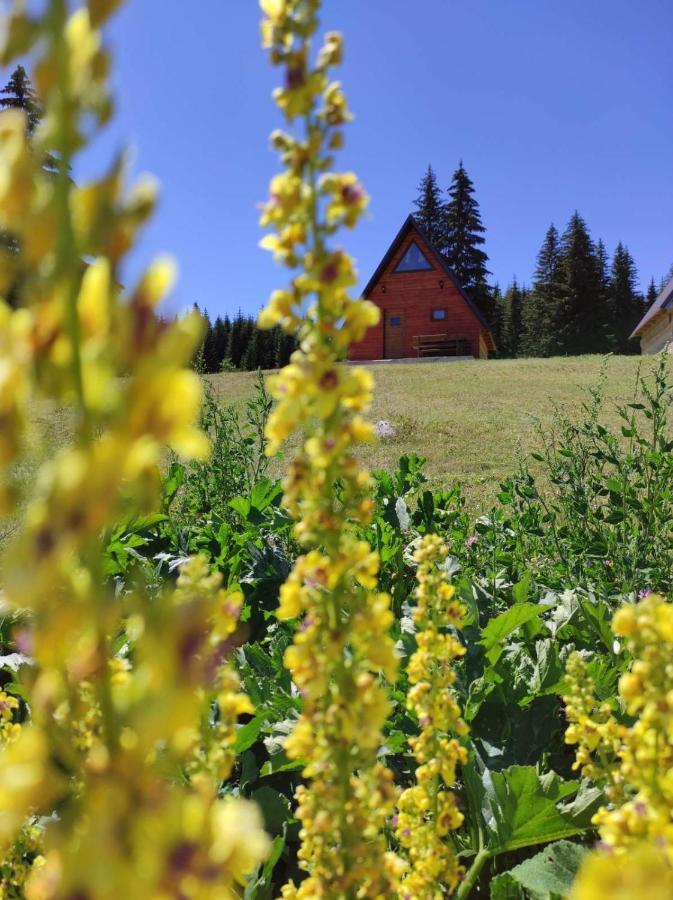 Wooden Cottage Podgora Zabljak  Ngoại thất bức ảnh